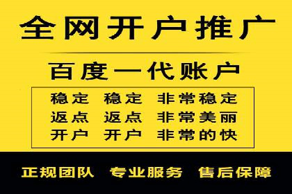 百度竞价代理技巧：经典成功案例解析